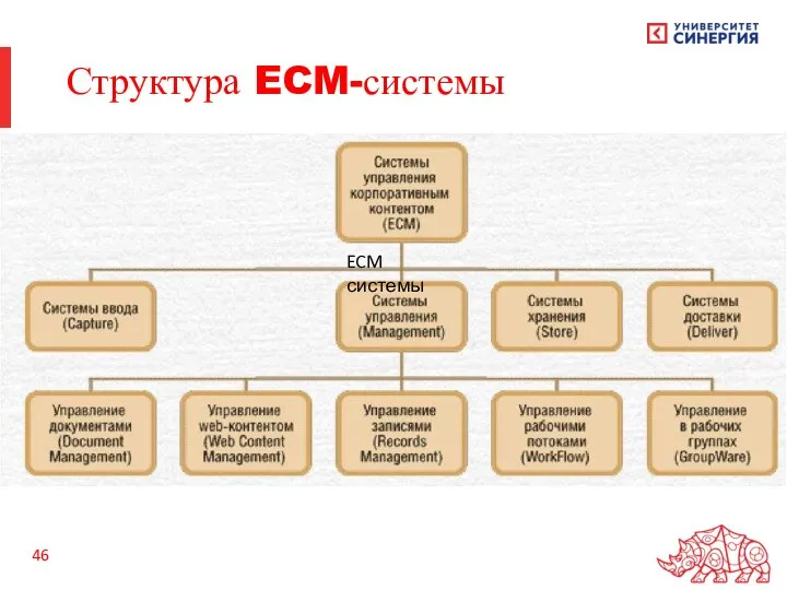 Структура ECM-системы ECM системы