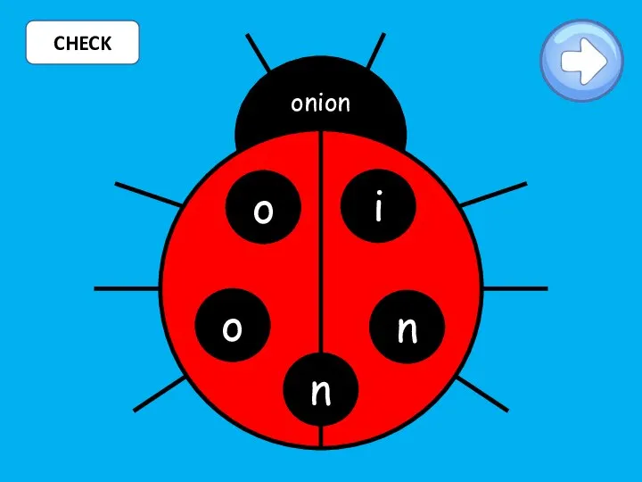 CHECK o i o n onion n