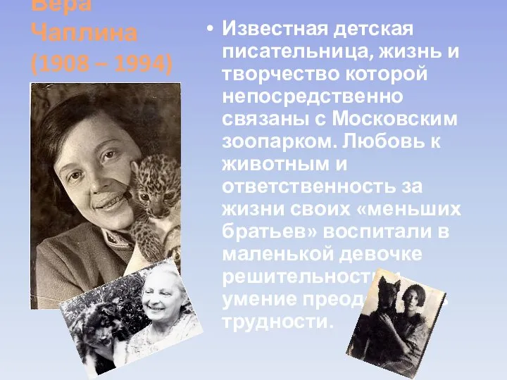 Вера Чаплина (1908 – 1994) Известная детская писательница, жизнь и творчество которой