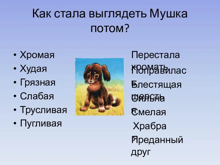 Перестала хромать Поправилась Блестящая шерсть Сильная Смелая Храбрая Преданный друг Как стала