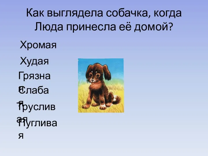 Хромая Худая Грязная Слабая Трусливая Пугливая Как выглядела собачка, когда Люда принесла её домой?