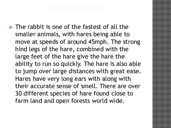 ABOUT RABBIT The rabbit is one of the fastest of all the