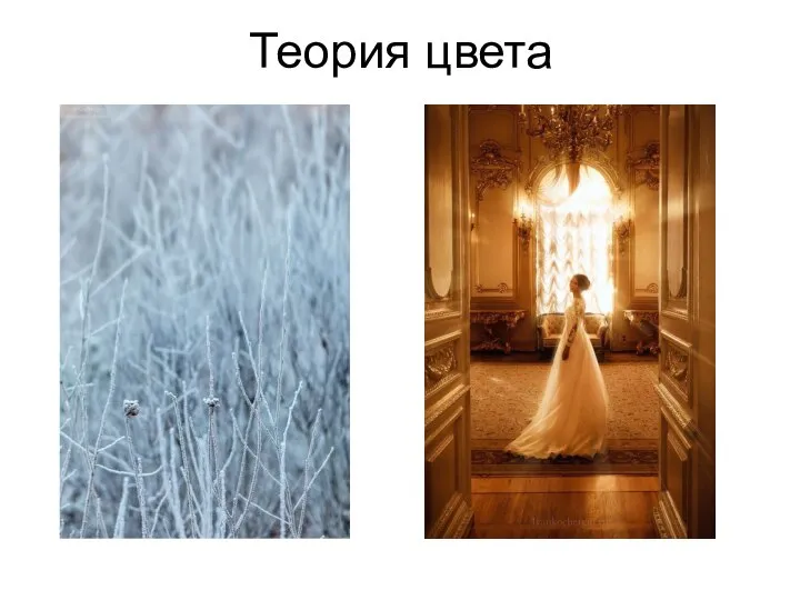 Теория цвета