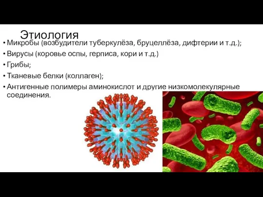 Этиология Микробы (возбудители туберкулёза, бруцеллёза, дифтерии и т.д.); Вирусы (коровье оспы, герписа,