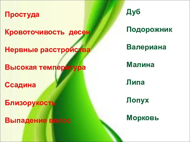 Простуда Кровоточивость десен Нервные расстройства Высокая температура Ссадина Близорукость Выпадение волос Дуб