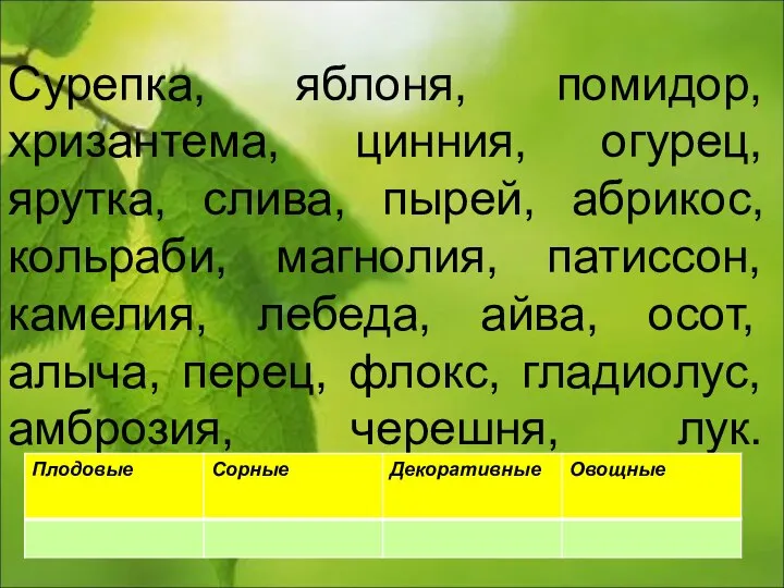 Сурепка, яблоня, помидор, хризантема, цинния, огурец, ярутка, слива, пырей, абрикос, кольраби, магнолия,