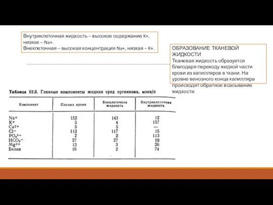 Внутриклеточная жидкость – высокое содержание K+, низкое – Na+. Внеклеточная – высокая