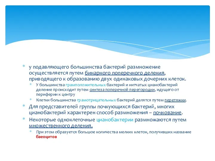 у подавляющего большинства бактерий размножение осуществляется путем бинарного поперечного деления, приводящего к