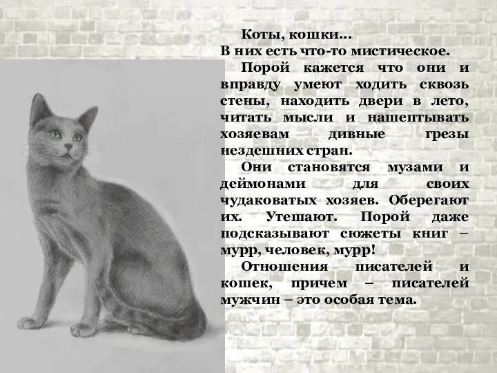 Коты, кошки... В них есть что-то мистическое. Порой кажется что они и