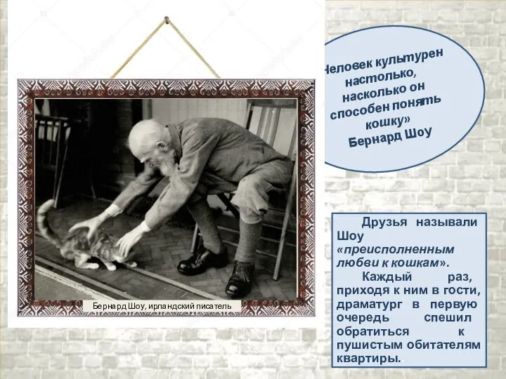 «Человек культурен настолько, насколько он способен понять кошку» Бернард Шоу Друзья называли