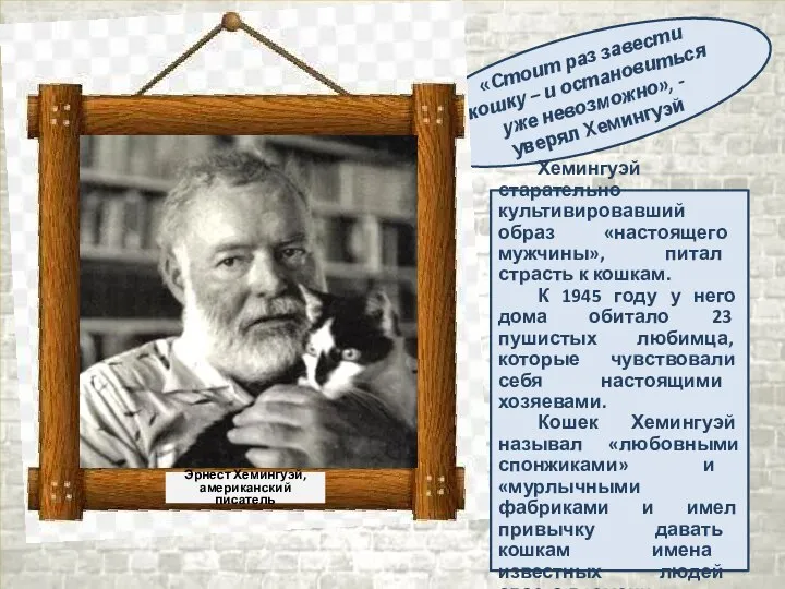 «Стоит раз завести кошку – и остановиться уже невозможно», - уверял Хемингуэй