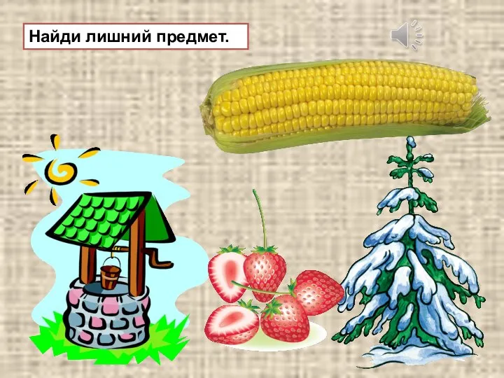 Найди лишний предмет.