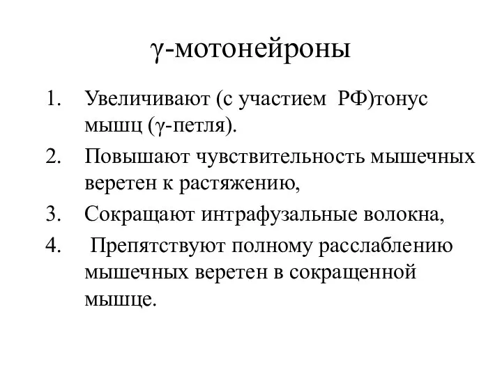 γ-мотонейроны Увеличивают (с участием РФ)тонус мышц (γ-петля). Повышают чувствительность мышечных веретен к