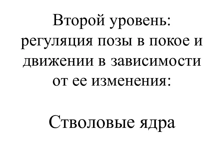 Второй уровень: регуляция позы в покое и движении в зависимости от ее изменения: Стволовые ядра