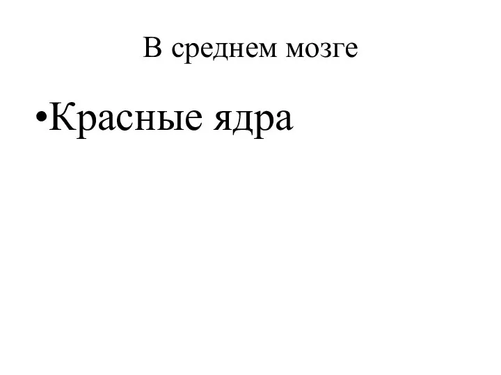 В среднем мозге Красные ядра