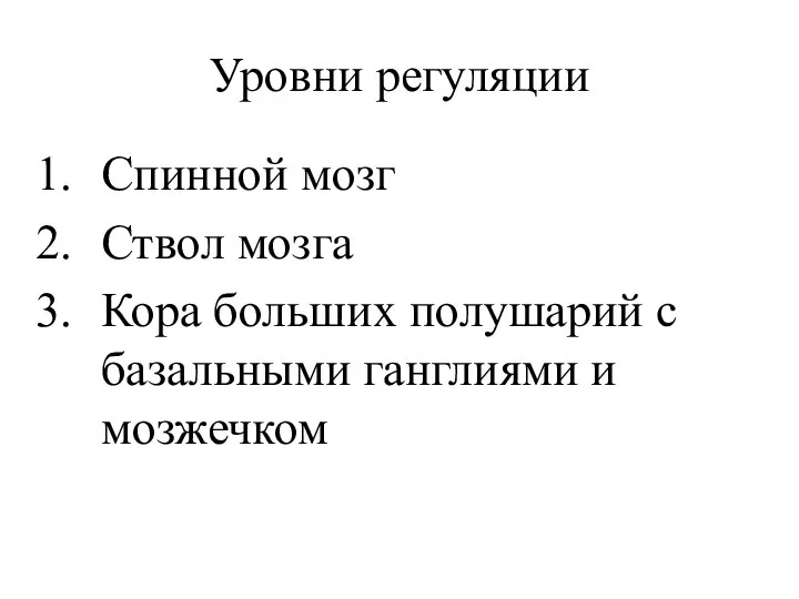 Уровни регуляции Спинной мозг Ствол мозга Кора больших полушарий с базальными ганглиями и мозжечком