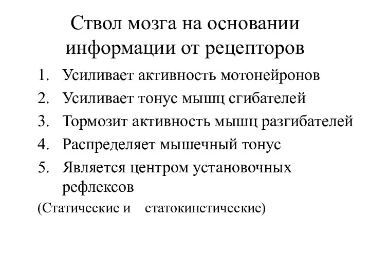 Ствол мозга на основании информации от рецепторов 1. Усиливает активность мотонейронов 2.