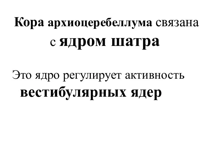 Кора архиоцеребеллума связана с ядром шатра Это ядро регулирует активность вестибулярных ядер