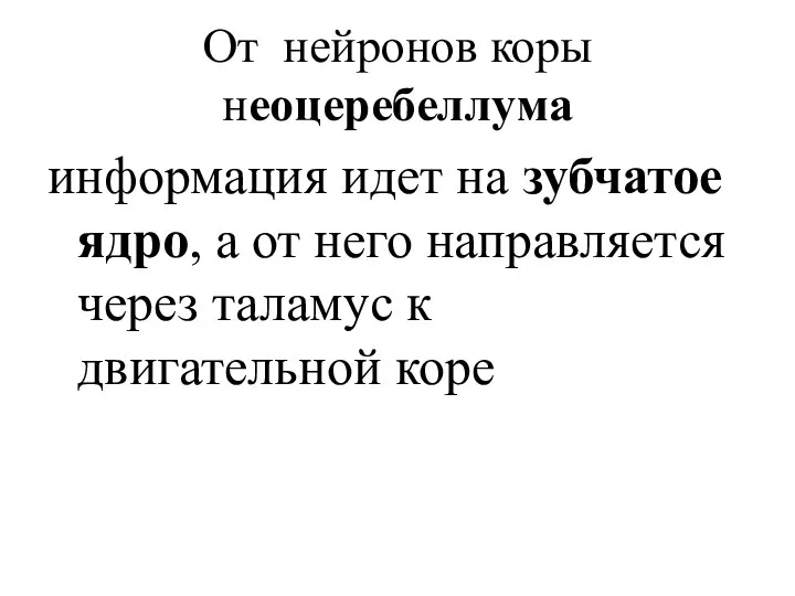 От нейронов коры неоцеребеллума информация идет на зубчатое ядро, а от него