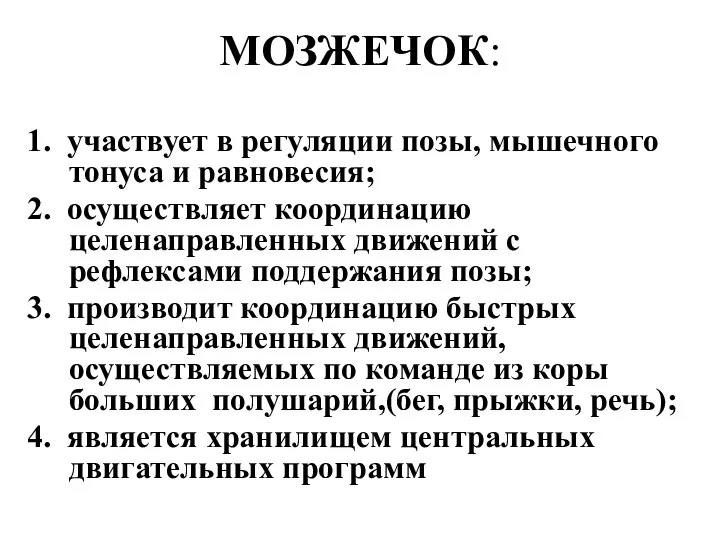 МОЗЖЕЧОК: 1. участвует в регуляции позы, мышечного тонуса и равновесия; 2. осуществляет