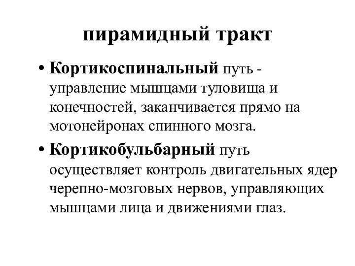 пирамидный тракт Кортикоспинальный путь - управление мышцами туловища и конечностей, заканчивается прямо