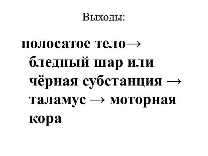 Выходы: полосатое тело→ бледный шар или чёрная субстанция → таламус → моторная кора