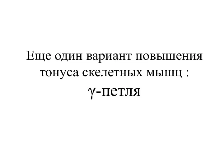 Еще один вариант повышения тонуса скелетных мышц : γ-петля