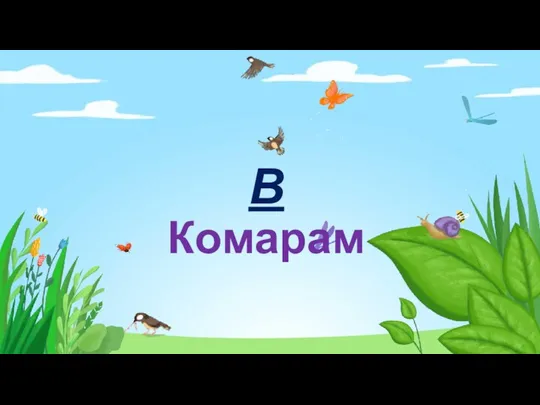 В Комарам