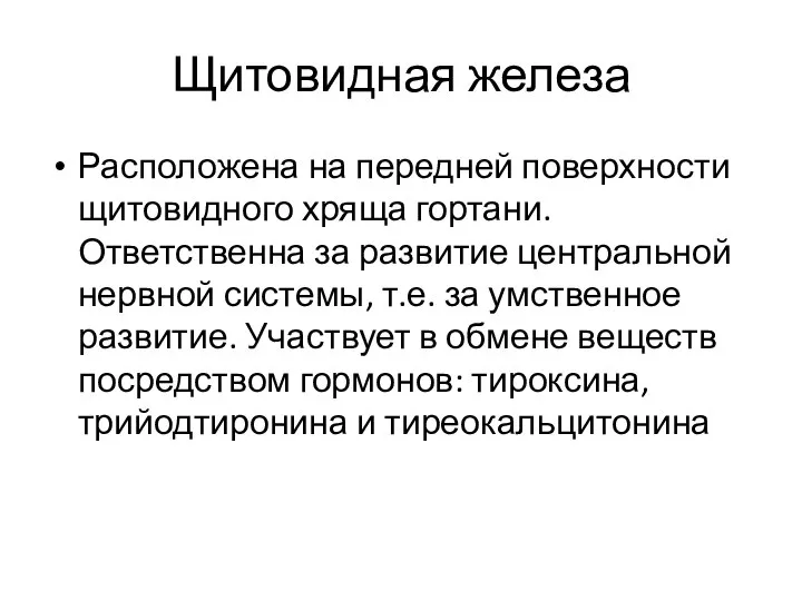 Щитовидная железа Расположена на передней поверхности щитовидного хряща гортани. Ответственна за развитие