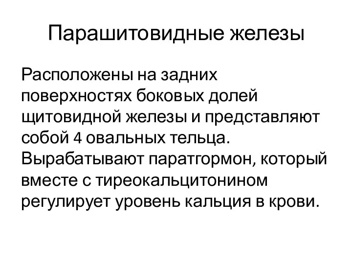 Парашитовидные железы Расположены на задних поверхностях боковых долей щитовидной железы и представляют