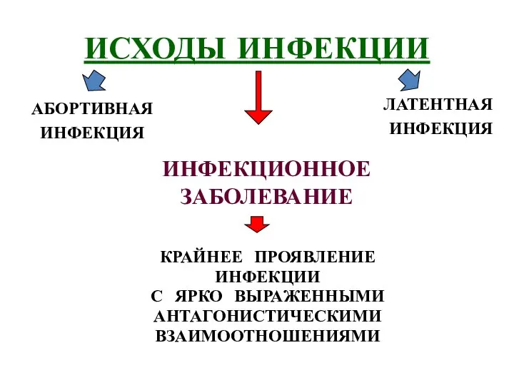 ИСХОДЫ ИНФЕКЦИИ АБОРТИВНАЯ ИНФЕКЦИЯ ЛАТЕНТНАЯ ИНФЕКЦИЯ ИНФЕКЦИОННОЕ ЗАБОЛЕВАНИЕ КРАЙНЕЕ ПРОЯВЛЕНИЕ ИНФЕКЦИИ С ЯРКО ВЫРАЖЕННЫМИ АНТАГОНИСТИЧЕСКИМИ ВЗАИМООТНОШЕНИЯМИ