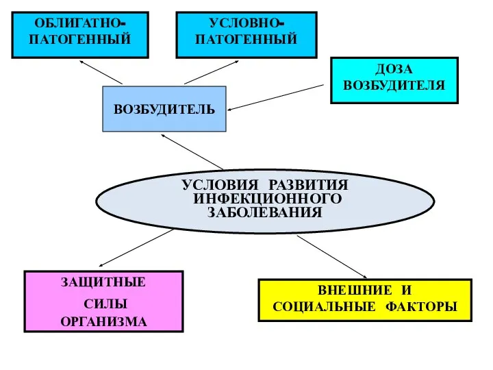 УСЛОВИЯ РАЗВИТИЯ ИНФЕКЦИОННОГО ЗАБОЛЕВАНИЯ ВОЗБУДИТЕЛЬ ДОЗА ВОЗБУДИТЕЛЯ ЗАЩИТНЫЕ СИЛЫ ОРГАНИЗМА ВНЕШНИЕ И