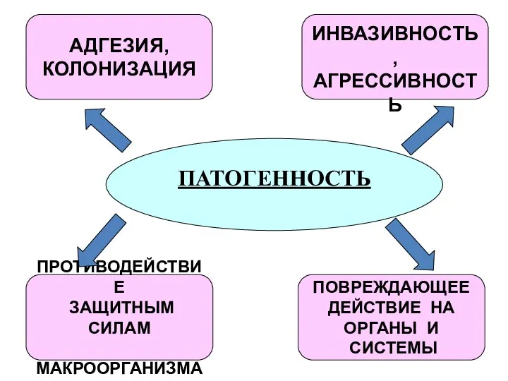 ПАТОГЕННОСТЬ АДГЕЗИЯ, КОЛОНИЗАЦИЯ ИНВАЗИВНОСТЬ, АГРЕССИВНОСТЬ ПРОТИВОДЕЙСТВИЕ ЗАЩИТНЫМ СИЛАМ МАКРООРГАНИЗМА ПОВРЕЖДАЮЩЕЕ ДЕЙСТВИЕ НА ОРГАНЫ И СИСТЕМЫ