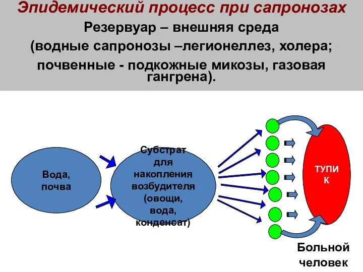 Эпидемический процесс при сапронозах Резервуар – внешняя среда (водные сапронозы –легионеллез, холера;