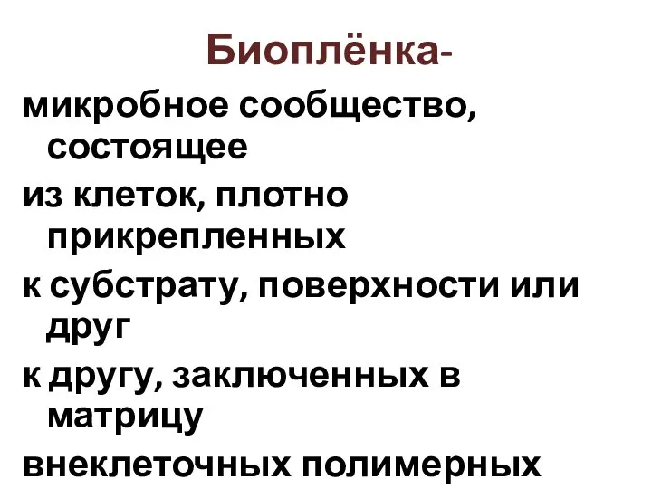 Биоплёнка- микробное сообщество, состоящее из клеток, плотно прикрепленных к субстрату, поверхности или