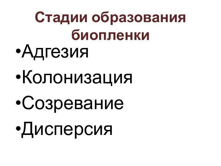 Стадии образования биопленки Адгезия Колонизация Созревание Дисперсия