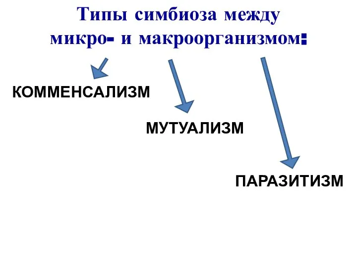 Типы симбиоза между микро- и макроорганизмом: КОММЕНСАЛИЗМ МУТУАЛИЗМ ПАРАЗИТИЗМ