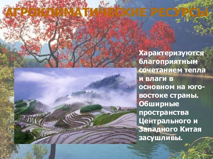 Характеризуются благоприятным сочетанием тепла и влаги в основном на юго-востоке страны. Обширные