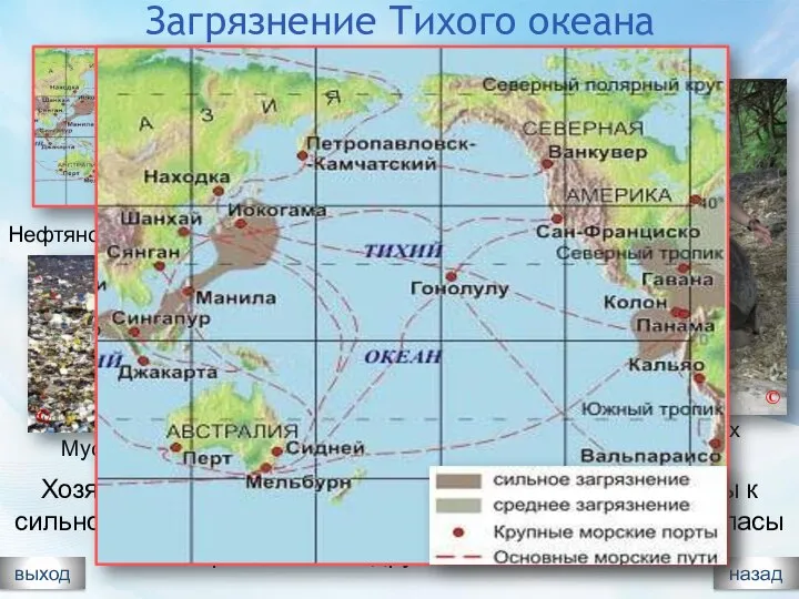 Загрязнение Тихого океана выход назад Хозяйственная деятельность привела в последние годы к