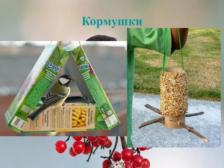 Кормушки