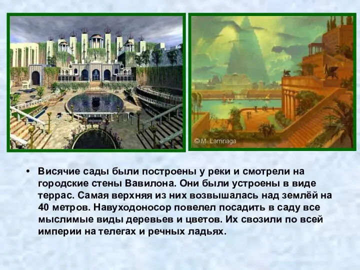 Висячие сады были построены у реки и смотрели на городские стены Вавилона.