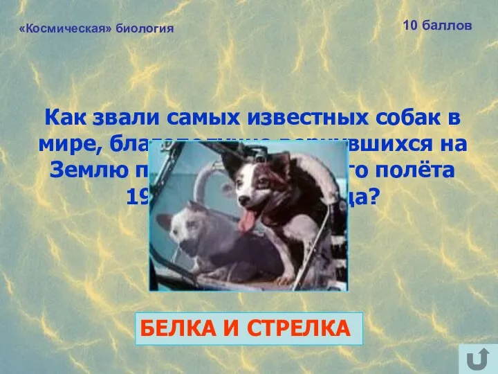 «Космическая» биология 10 баллов Как звали самых известных собак в мире, благополучно