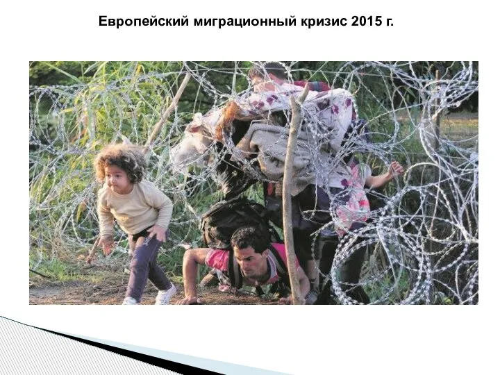 Европейский миграционный кризис 2015 г.