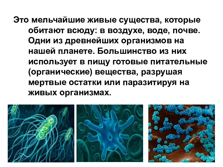 Это мельчайшие живые существа, которые обитают всюду: в воздухе, воде, почве. Одни