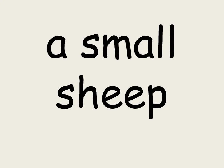 a small sheep