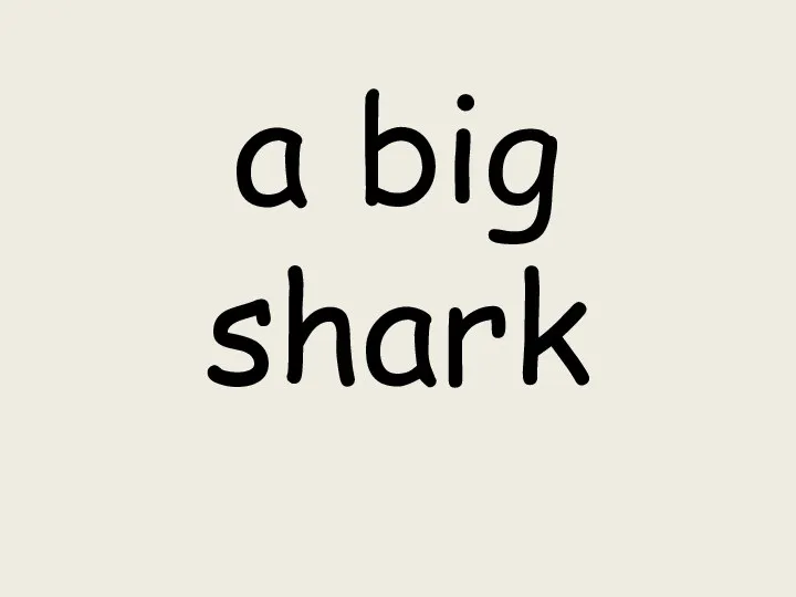 a big shark