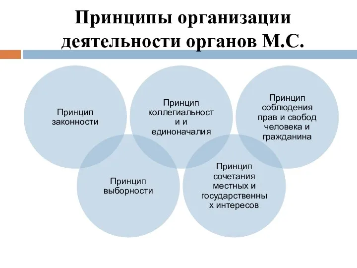 Принципы организации деятельности органов М.С.