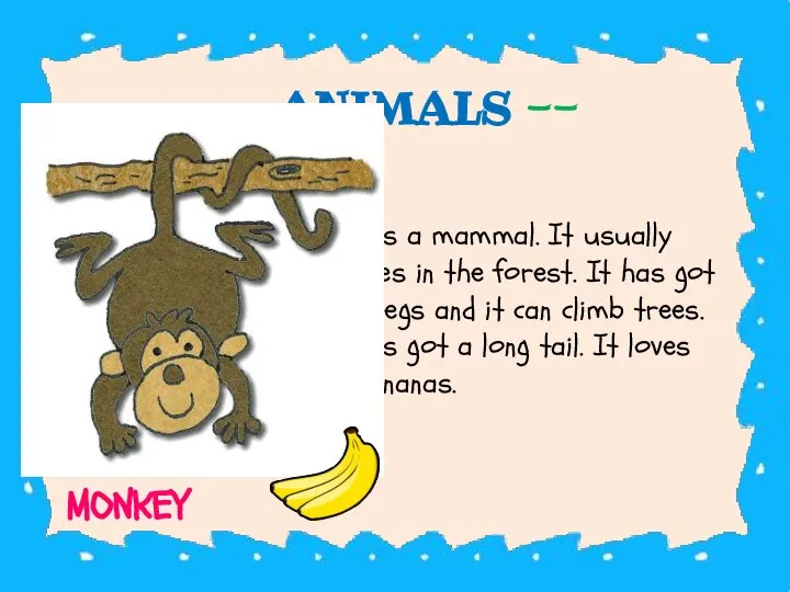 -- ANIMALS -- It’s a mammal. It usually lives in the forest.