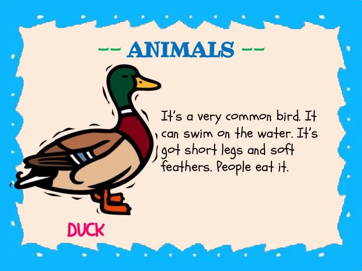 -- ANIMALS -- It’s a very common bird. It can swim on