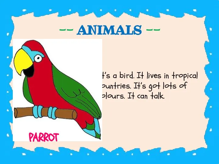 -- ANIMALS -- It’s a bird. It lives in tropical countries. It’s